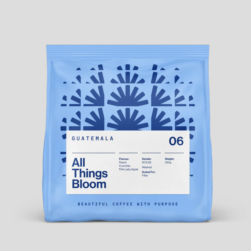 Discover Guatemala Box