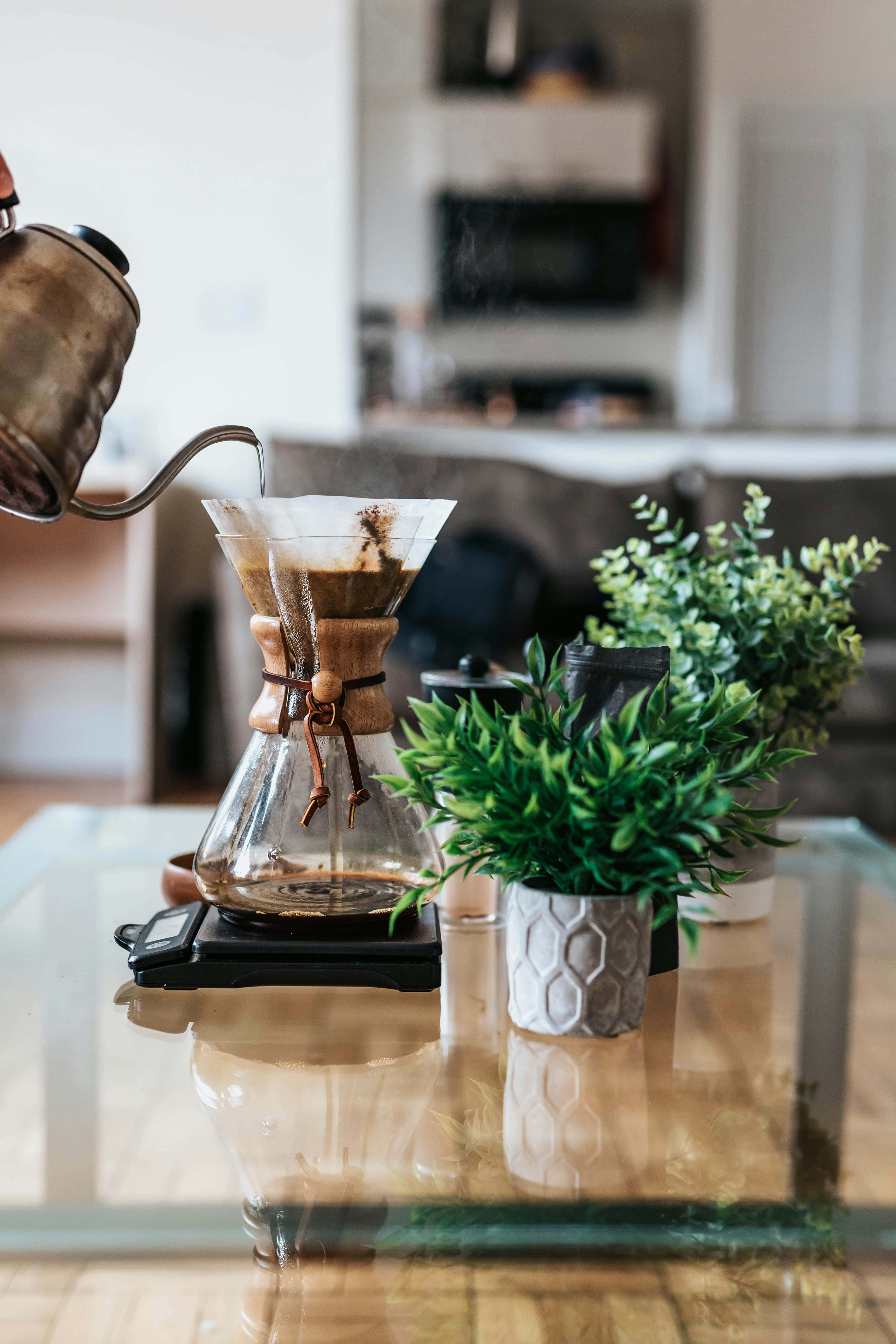 Coffee maker on a kitchen counter with plants and blurred background