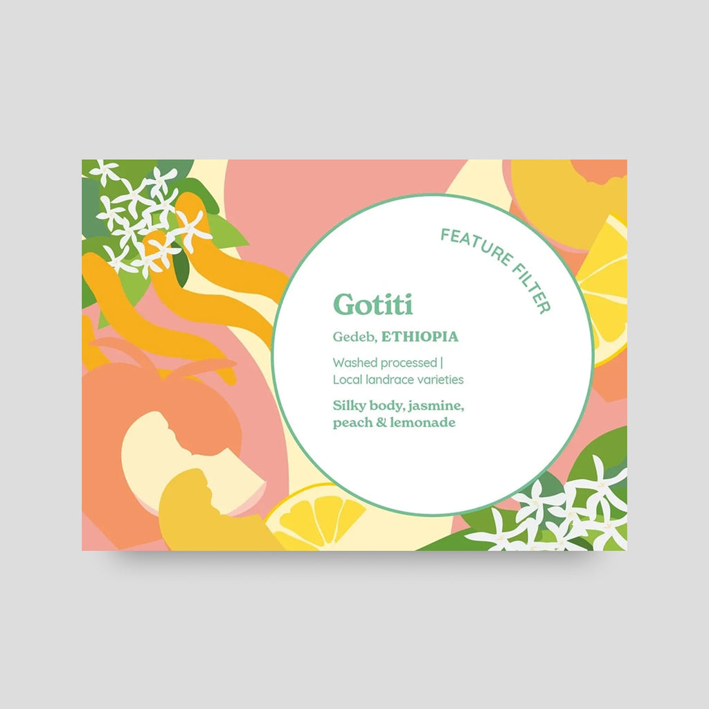 Discover Ethiopia Box