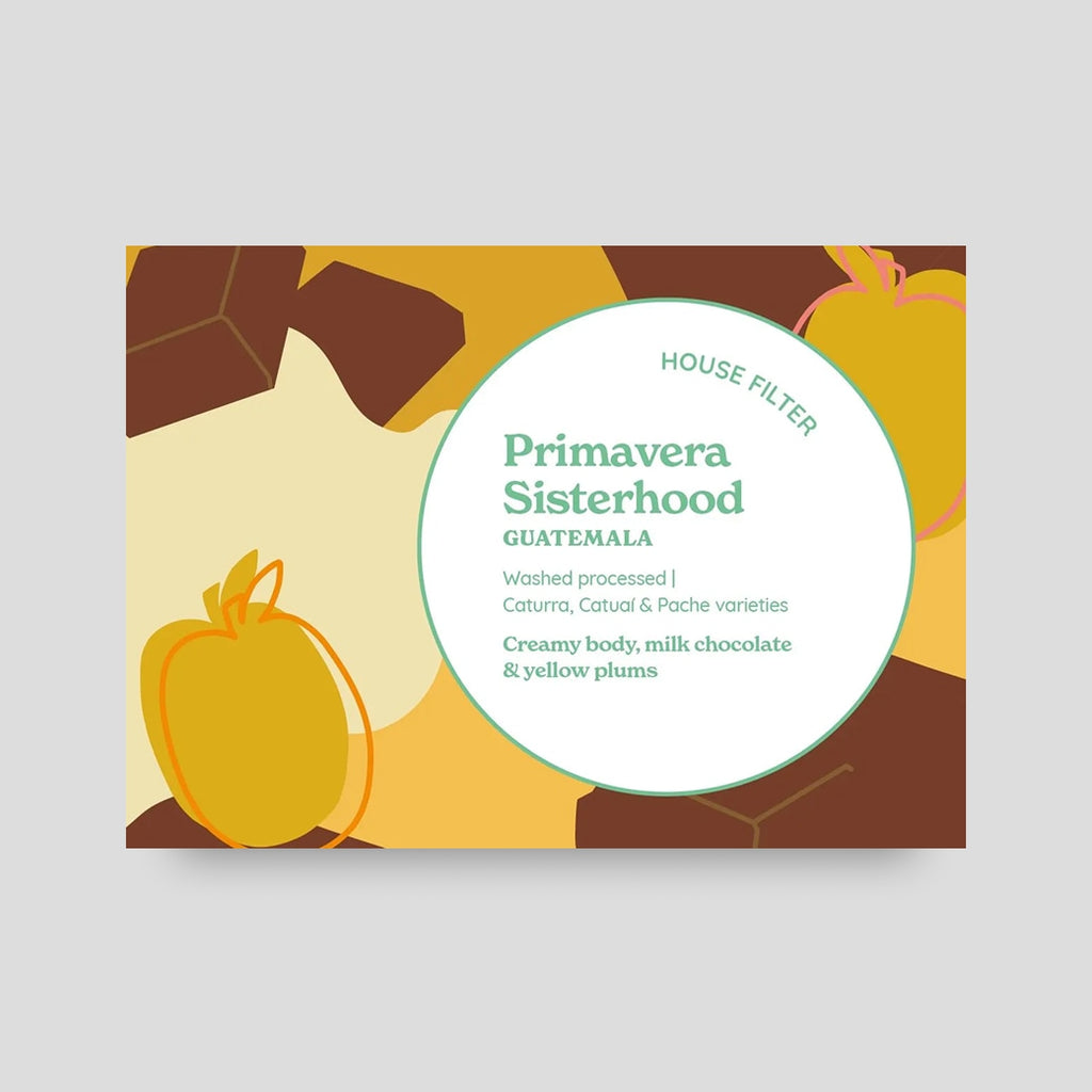 Discover Guatemala Box